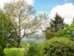 Treetops #34 Treetops #34