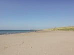 Ailsa Shores #46 Ailsa Shores #46