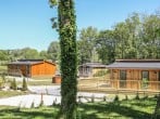 Squirrel Lodge #2 Squirrel Lodge #2