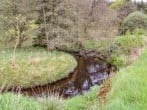 Gallow Law Cottage #39