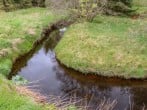 Gallow Law Cottage #40