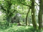 Corrafeckloch Cottage #45