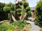 Romantic Barn Conversion close to the Camel Trail