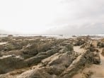Penhaven #50 Penhaven #50