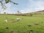 Glan Gors #26 Glan Gors #26