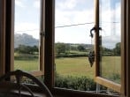 Acorn Cottage #14