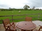 Buttercup Cottage #3