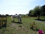 Pittards Farm Cottage #17