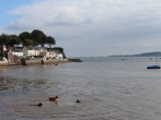 1 The Quay #16