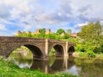 Shepherds Cabin at Titterstone | Hot Tub & Dog-Friendly near Ludlow #20