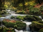 8 Streamside #27 8 Streamside #27