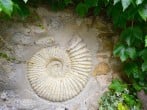 Fossil Barn #12 Fossil Barn #12