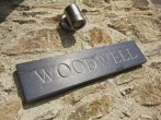 Woodwell #55