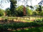 Kitchen garden Kitchen garden