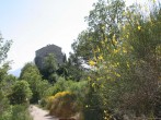 Walk to a medieval castle