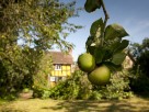17th Century Secluded Jacobean Farmhouse