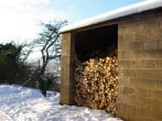 Unlimited dry firewood Unlimited dry firewood