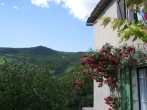 View from house