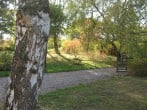 The garden