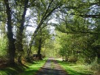 peaceful setting
