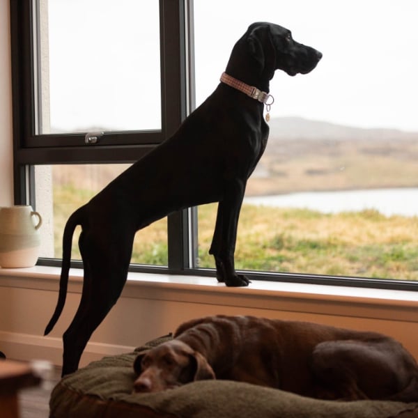 Sea view holiday house in the Outer Hebrides