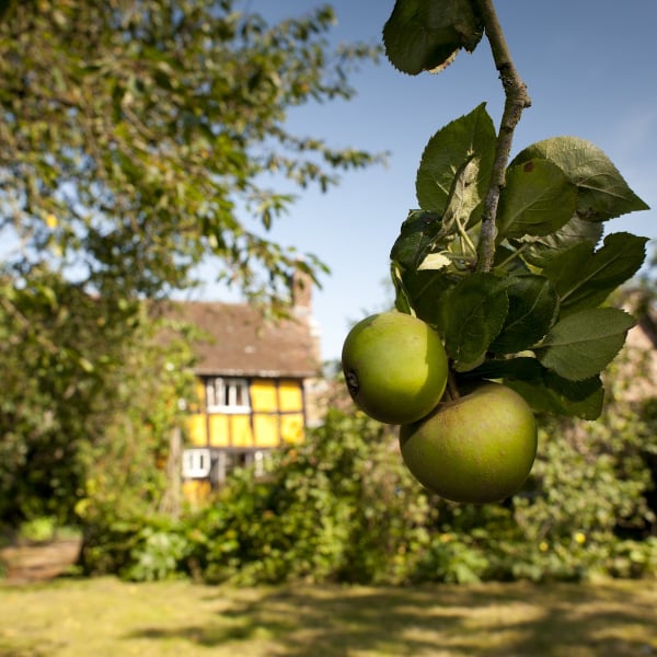 Jacobean farmhouse in Shropshire