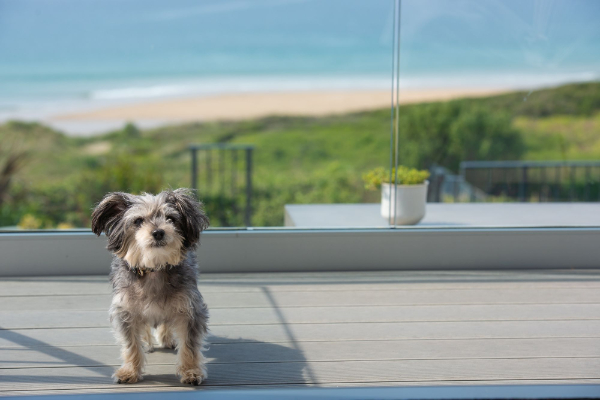 Dog friendly Ocean View Cornwall