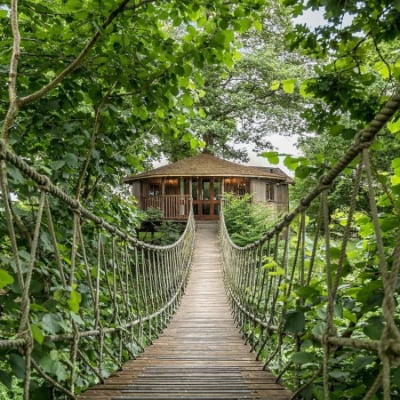 Luxury treehouse in Sussex