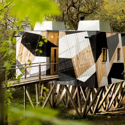 Architect designed treehouse in Dorset