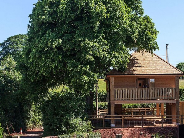 Treehouse in Somerset