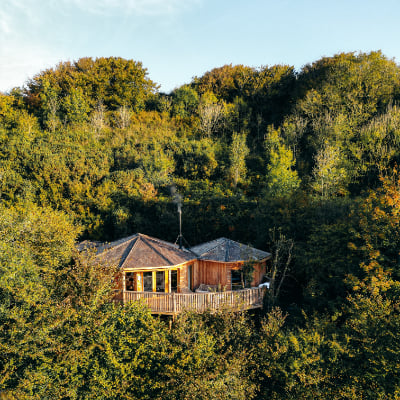 Nest Treehouse in Devon