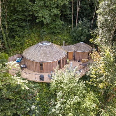 Pheasant Treehouse in Devon