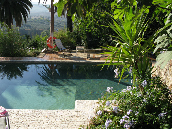Alberca pool in luxury Spanish finca